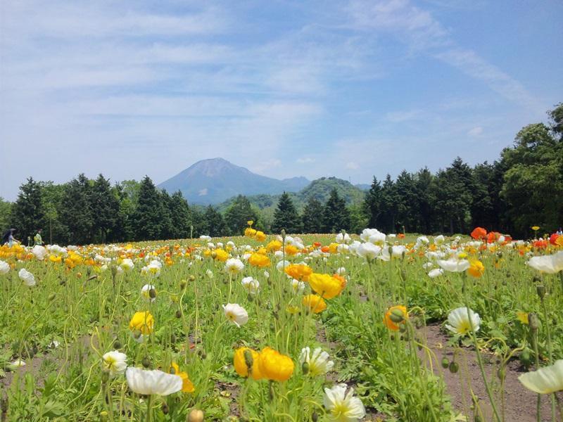 Kutsurogi No Yado Terunoyu Hotel Okayama Bagian luar foto